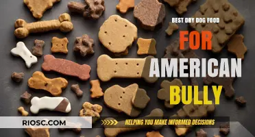 Top-Rated Dry Dog Food Options for American Bullies: Nutrition and Health Benefits