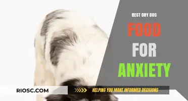 Calm Canine Cuisine: Top Dry Dog Foods to Ease Anxiety and Promote Relaxation