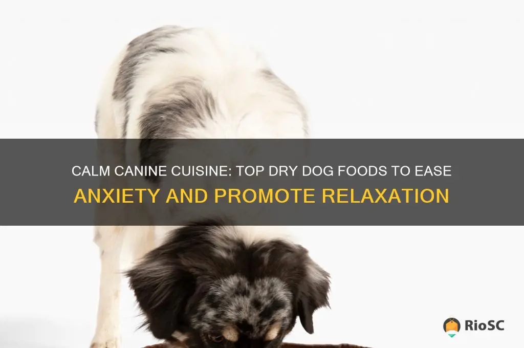 best dry dog food for anxiety