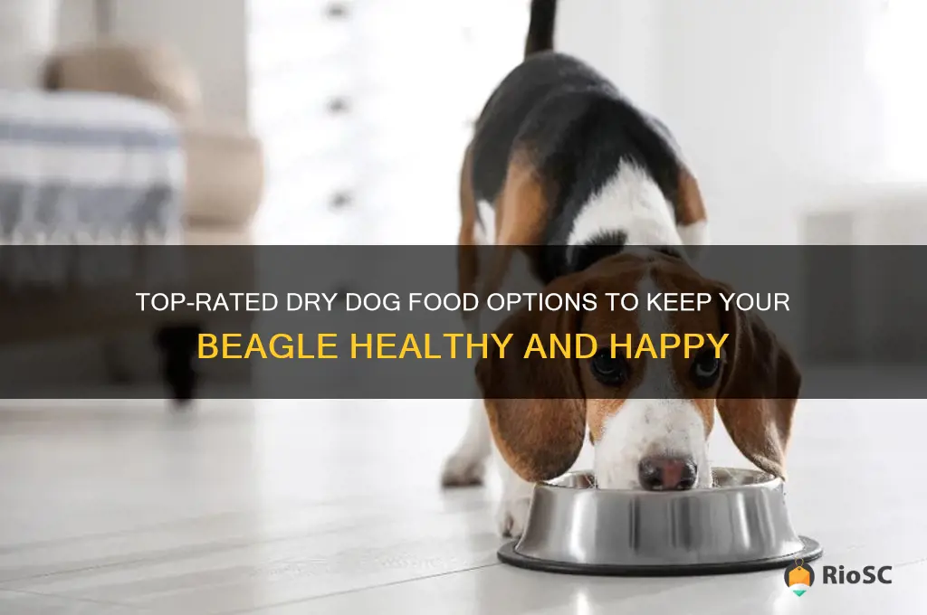 best dry dog food for beagles