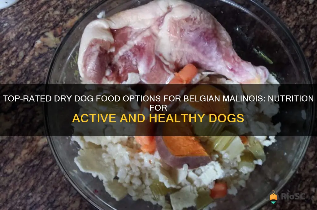 best dry dog food for belgian malinois