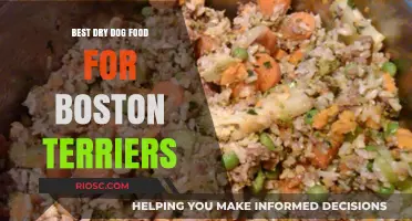Top-Rated Dry Dog Food Options for Boston Terriers: Nutrition and Taste Combined