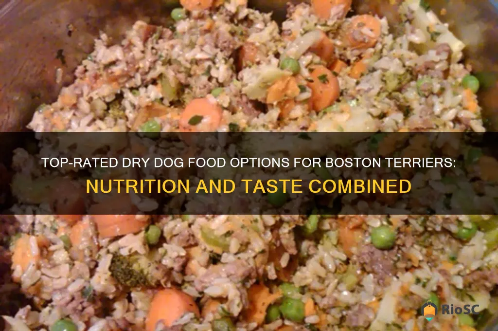 best dry dog food for boston terriers