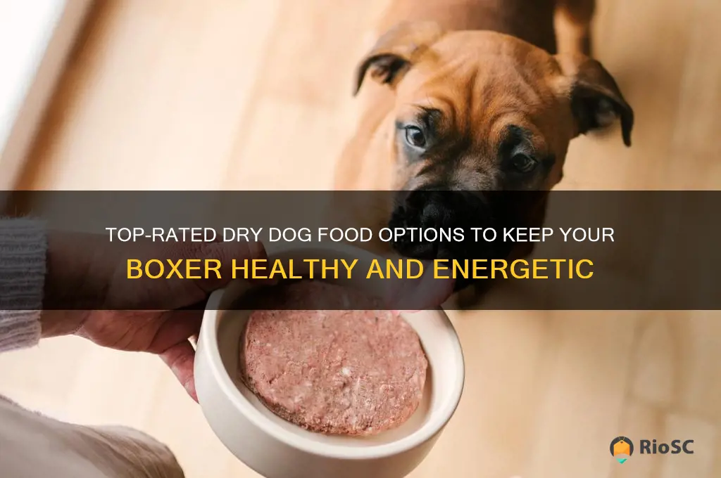 best dry dog food for boxers