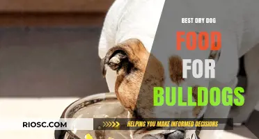 Top-Rated Dry Dog Food Options for Bulldogs: Nutrition, Taste, and Health Benefits