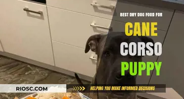 Top-Rated Dry Dog Food Options for Your Cane Corso Puppy's Optimal Growth and Health