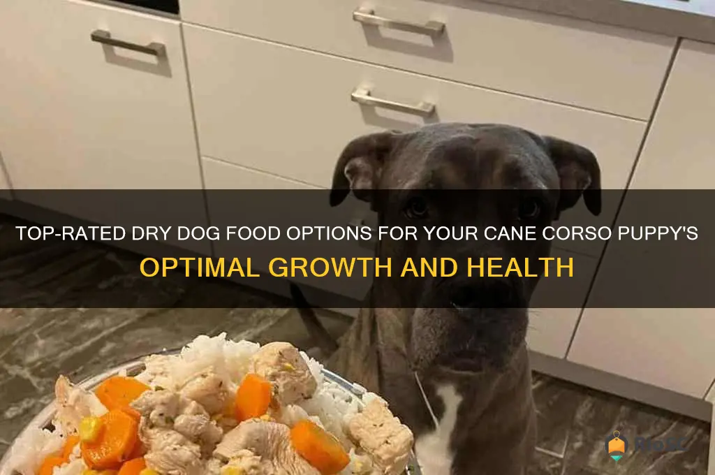 best dry dog food for cane corso puppy