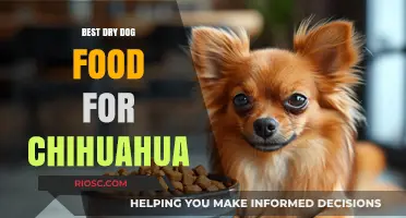 Top-Rated Dry Dog Food Options for Chihuahuas: Nutrition and Taste Combined