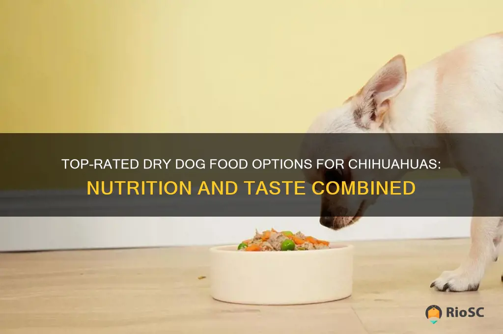 best dry dog food for chihuahua