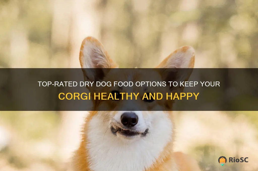 best dry dog food for corgis
