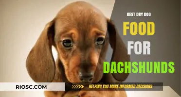 Top-Rated Dry Dog Food Options for Dachshunds: Nutrition and Health Benefits