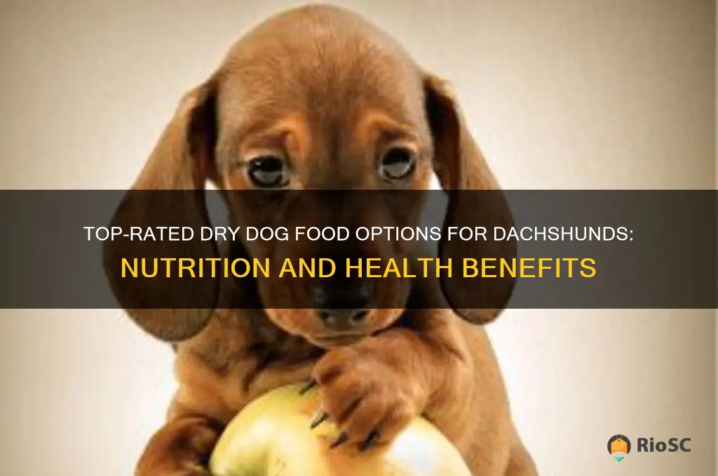 best dry dog food for dachshunds