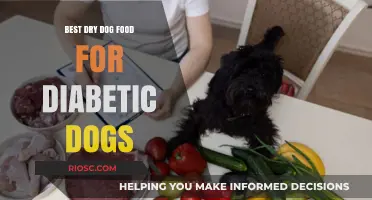 Top Nutritional Choices: Best Dry Dog Food for Diabetic Dogs to Support Health and Stability