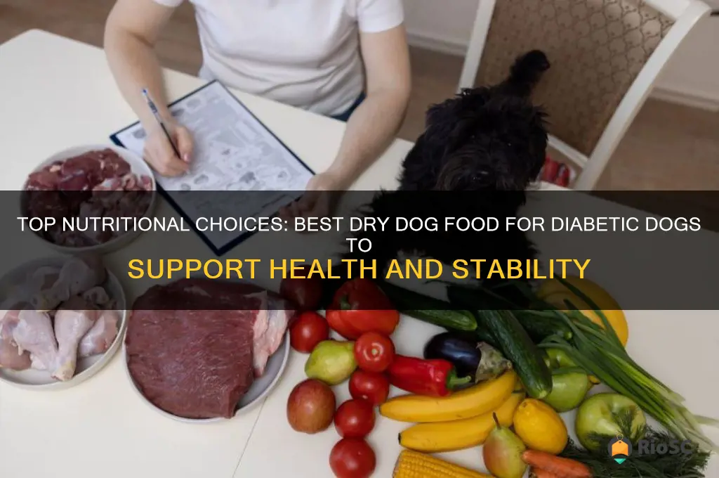 best dry dog food for diabetic dogs
