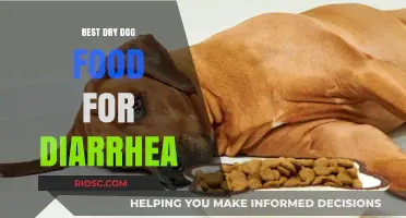 Effective Dry Dog Food Solutions to Relieve and Prevent Diarrhea in Your Pet