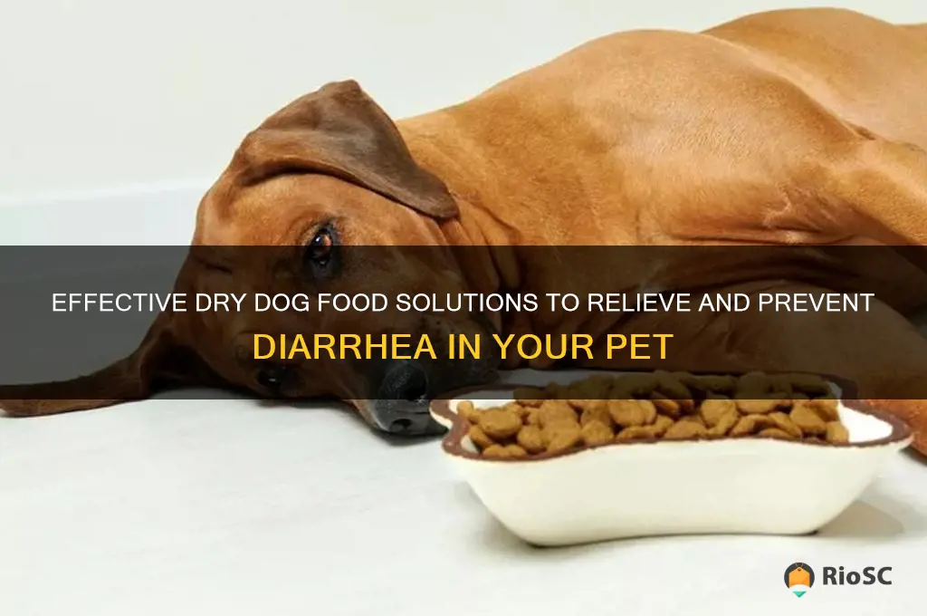 best dry dog food for diarrhea