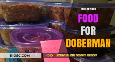 Top-Rated Dry Dog Food Options to Fuel Your Doberman's Active Lifestyle