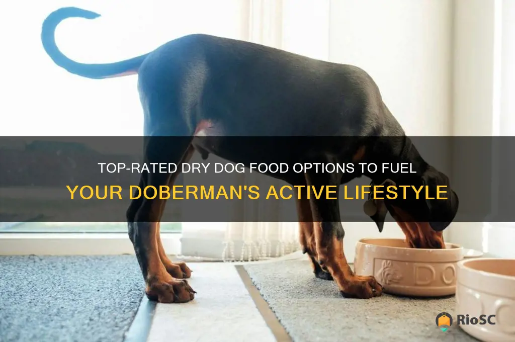 best dry dog food for doberman