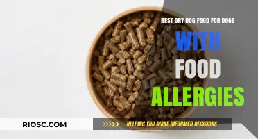 Hypoallergenic Dry Dog Food: Top Picks for Dogs with Food Allergies