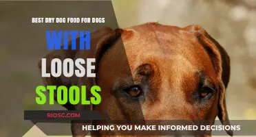 Top Dry Dog Food Options to Firm Up Your Dog's Loose Stools