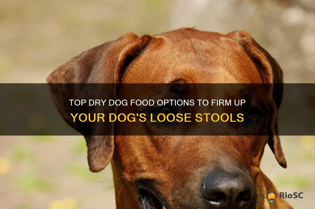 best dry dog food for dogs with loose stools