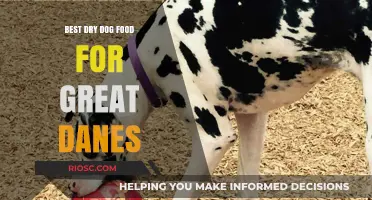 Top-Rated Dry Dog Food Options for Great Danes: Nutrition and Health Benefits