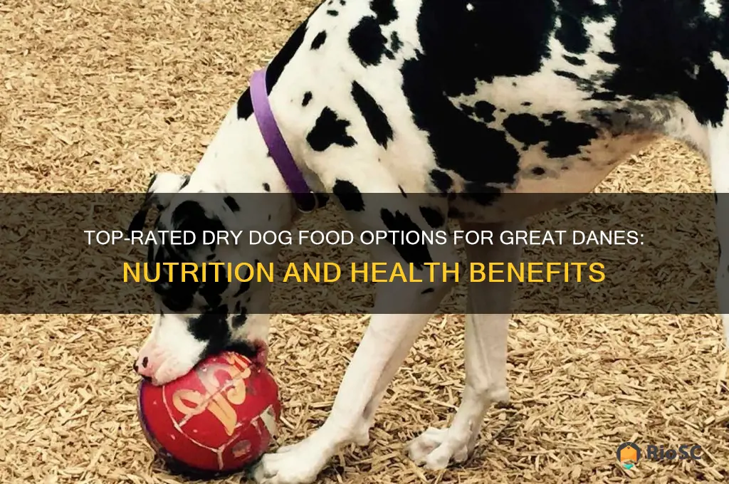 best dry dog food for great danes