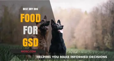 Top-Rated Dry Dog Food Options for German Shepherds: Nutrition and Health Benefits