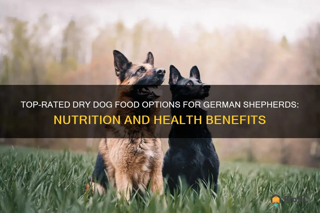 best dry dog food for gsd
