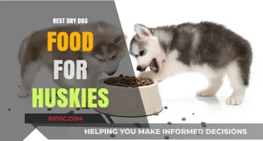 Top-Rated Dry Dog Food Options to Fuel Your Husky's Energy and Health