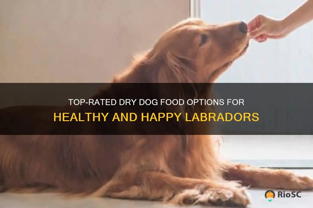 best dry dog food for labradors