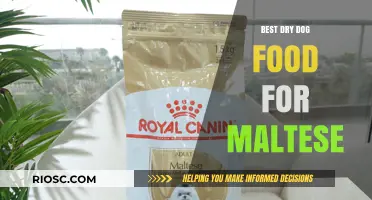 Top-Rated Dry Dog Food Options for Maltese: Nutrition and Taste Combined