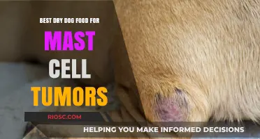 Nutritional Support: Top Dry Dog Food Options for Managing Mast Cell Tumors