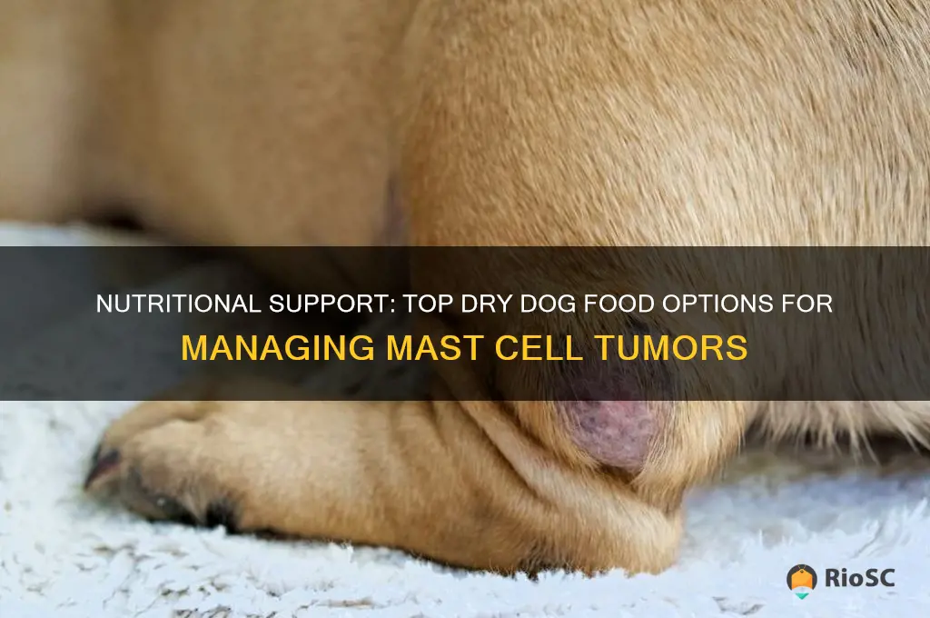 best dry dog food for mast cell tumors