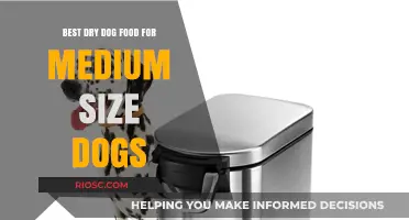 Top-Rated Dry Dog Food Options for Medium-Sized Breeds: Nutrition and Taste Combined
