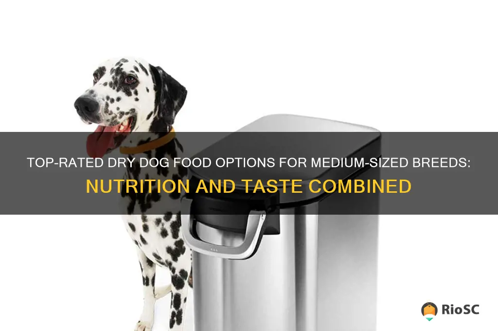 best dry dog food for medium size dogs