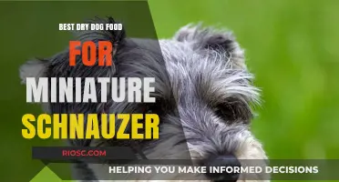 Top-Rated Dry Dog Food Options for Miniature Schnauzers: Nutrition, Taste, and Health Benefits