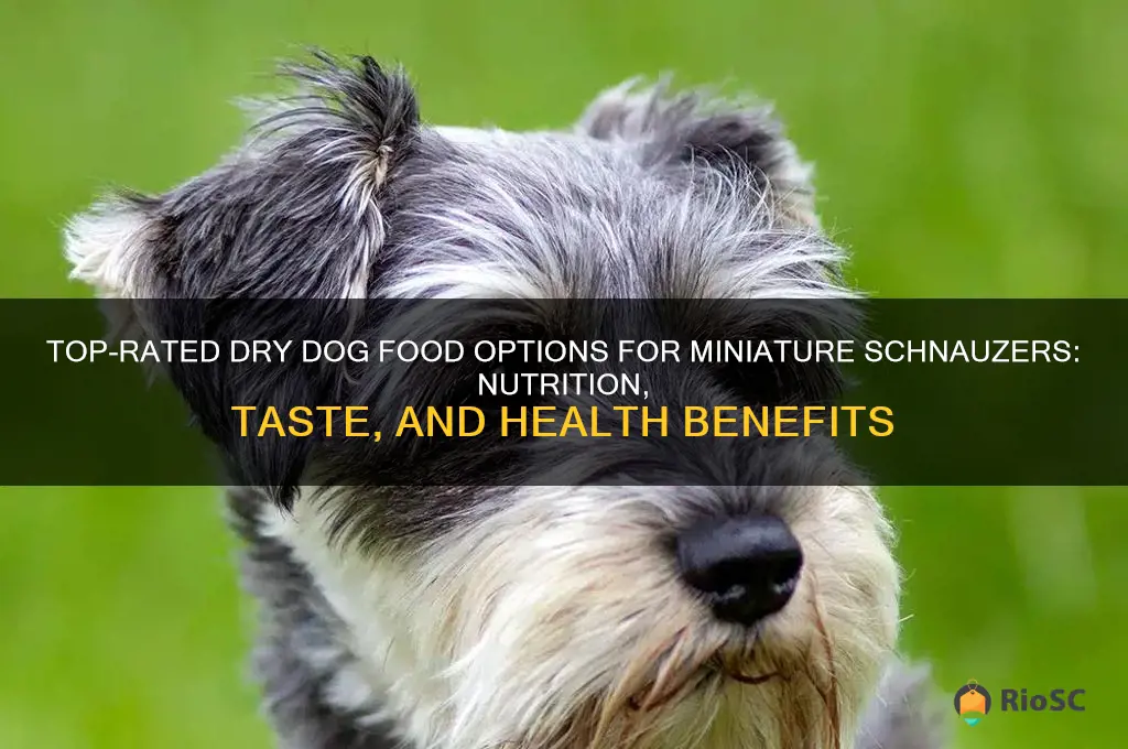 best dry dog food for miniature schnauzer