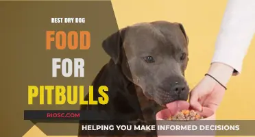 Top-Rated Dry Dog Food Options to Fuel Your Pitbull's Health and Energy
