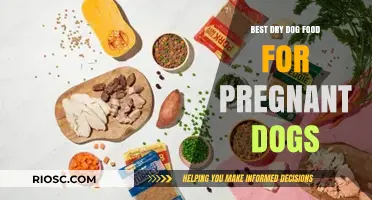 Nutritious Choices: Top Dry Dog Food Options for Pregnant Dogs