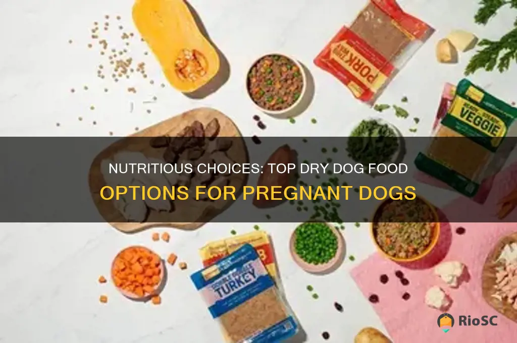 best dry dog food for pregnant dogs