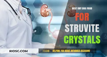Top Dry Dog Food Options to Prevent and Manage Struvite Crystals in Dogs