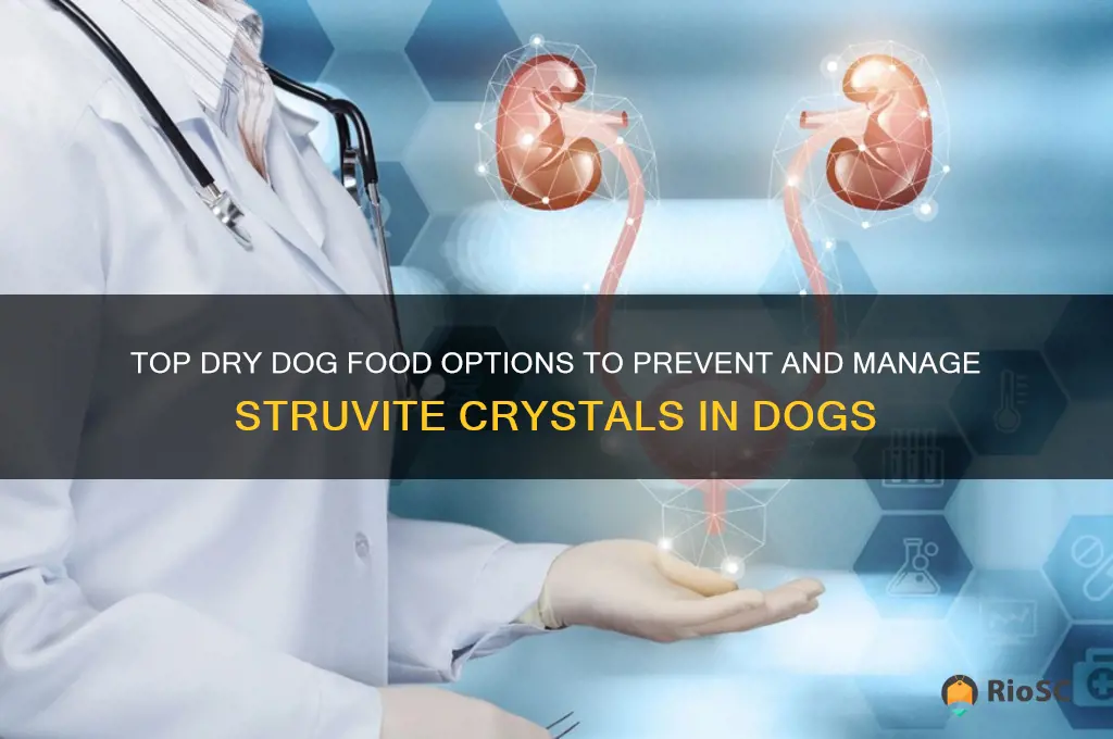 best dry dog food for struvite crystals