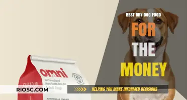 Affordable Excellence: Top Dry Dog Food Options That Deliver Quality Without Breaking the Bank