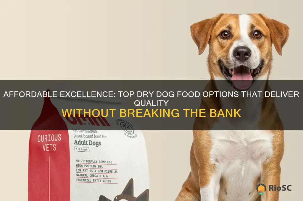 best dry dog food for the money