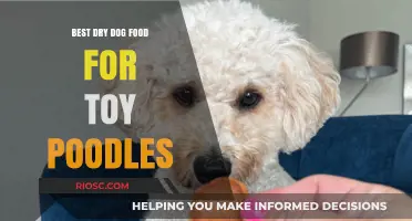 Top-Rated Dry Dog Food Options for Toy Poodles: Nutrition and Taste Combined