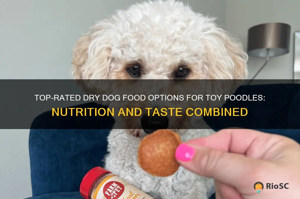 best dry dog food for toy poodles