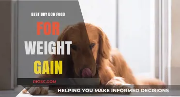Nutritious Dry Dog Food Options to Support Healthy Weight Gain in Your Pet