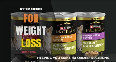 Slimming Down Your Furry Friend: Top Dry Dog Foods for Healthy Weight Loss