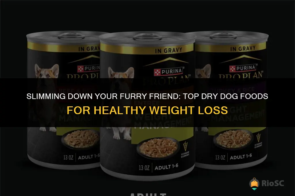best dry dog food for weight loss